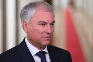 Володин допустил применение «не оставляющего ни от кого следа» оружия
