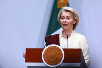 Политик Мема обвинил фон дер Ляйен в замалчивании трагедии в Старобельске