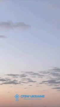 ����. ���� 24 ��� ����� ����
