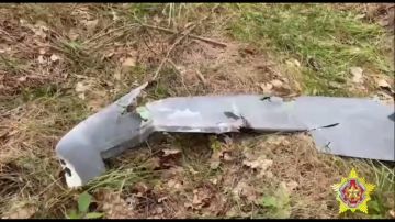 Дроны ВСУ обстреливают приграничные посты Белоруссии