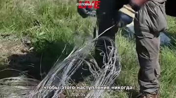 ������� ������� ������ � �������� �������, �������� ������� ���