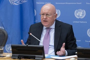 Небензя назвал реакцию Запада на удар ВСУ по колледжу в ЛНР позором