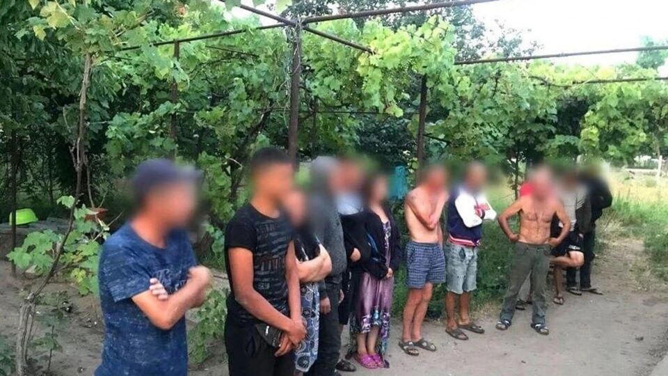 Украинские фермеры массово скупают мигрантов из Азии за 7 тысяч долларов из-за нехватки рабочих рук