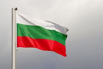 Георгиев назвал ошибкой поставки Болгарией оружия Украине