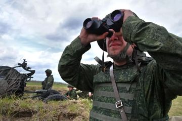 Украинские БПЛА за последнюю неделю 116 раз нарушили границу Белоруссии