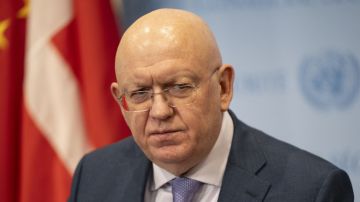 Небензя скептически отнёсся к расследованию в ООН теракта в Старобельске