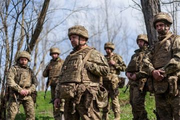 Литвин: Сообщение о подготовке Украины к продолжению войны является вбросом