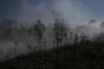 �������: ��� � �������� �������������� �� ����� ��������������� ����� � ��������