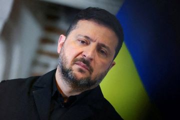 Боуз: Зеленский, обращаясь к Трампу за помощью, остается верен своим привычкам