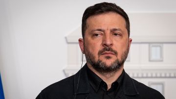 Конгрессвумен Луна заявила, что Зеленский мешает миру на Украине