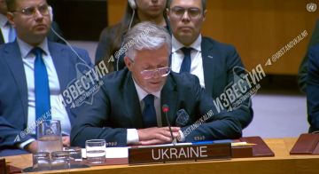 Прямо сейчас на заседании Совбеза ООН представитель Украины назвал удар по детям в Старобельске «мифом» и «фейком»