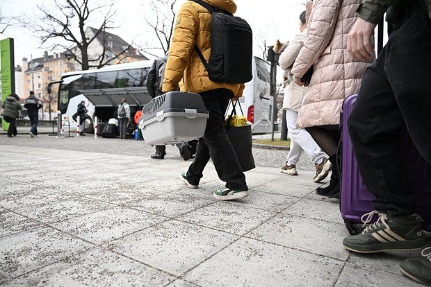 Bild: В Германии опасаются притока украинских беженцев из Польши