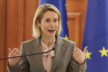 Пилкингтон назвал Каллас идиоткой из-за заявления о посольстве США в Киеве