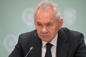 �����: ���������-������������ ������ ���������� ������� ��-�� �����