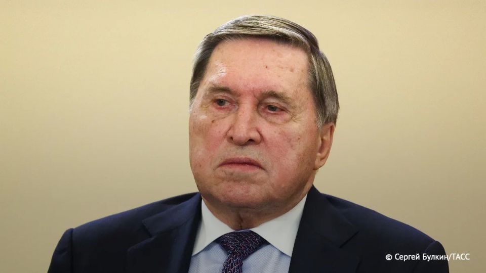Ушаков назвал условия Каллас для переговоров по Украине "уличными высказываниями, на которые мало кто реагирует"