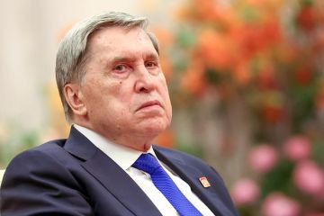 Ушаков посоветовал Европе перебирать кандидатов на роль переговорщика с Россией