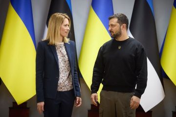 Журналист Христофору: Письмо Трампу может поссорить Зеленского с Каллас