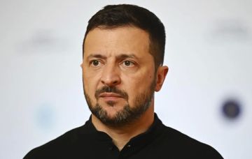 Зеленского* раскритиковали за письмо Трампу с просьбой о помощи