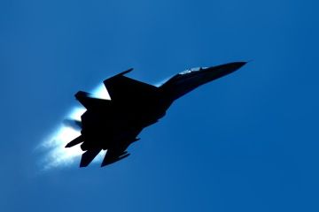 ���������: ������� ���������� 22 ����� ����������� Gripen