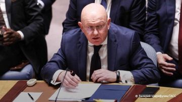 Ряд европейских стран предпочел не заметить трагедию в Старобельске, заявил Небензя на заседании СБ ООН по Украине