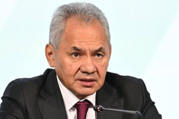 Шойгу заявил, что с Россией фактически воюют 56 стран