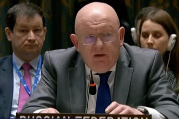 Кровь погибших в Старобельске детей лежит на руках Запада — заявил постпред РФ при ООН Василий Небензя