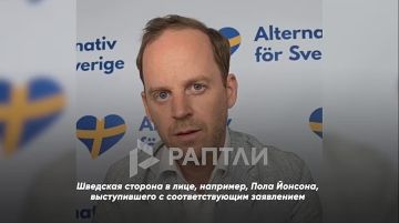 ���� ������ ���� ��������: ����� ������ ������������� ��� ������ ������ ������������� ���������������� �������� ������������ Gripen �������