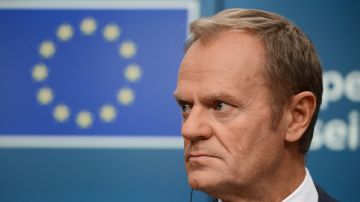 Премьер Польши призвал членов НАТО серьёзно отнестись к словам Медведева