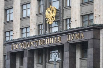 Депутат Чепа: Германия перекладывает ответственность за БПЛА с больной головы на здоровую