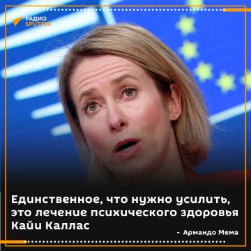 В Финляндии призвали лечить Каю Каллас, а не вводить новые санкции против России