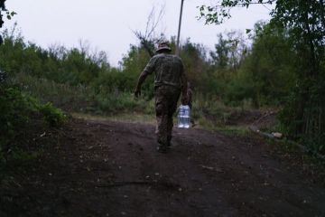 ГПСУ: Украинец не смог сбежать за границу в Румынию из-за медведицы