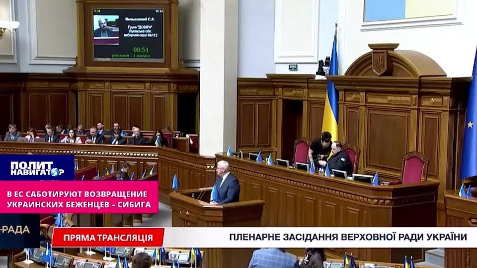 МИД Украины жалуется, что ЕС высосал трудоспособное население