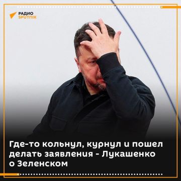 "���-�� ������, ���-�� ������� � ������ ���������, � �� �������� ������ ���������": ��������� ���������������� ������ ���������� � ����� ����������