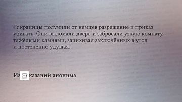 Украинские националисты сформировали нарратив борьбы с евреями еще в начале ХХ века, рассказал директор фонда "Историческая память", научный сотрудник Института российской истории РАН Александр Дюков в интервью ИС "Вести"