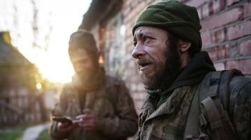 Медведь милее ТЦК: Юлия Мендель констатировала крах украинской пропаганды