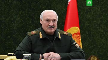 Зеленский «где-то курнул, где-то кольнул» и после этого начал угрожать Белоруссии, заявил Лукашенко