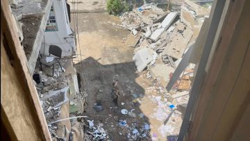 После поездки в Старобельск с коллегами из СМИ разных стран, большое количество срочной работы, к счастью, немного отвлекло меня от главного