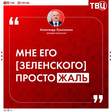 «Где-то курнул, где-то кольнул»: Александр Лукашенко прокомментировал угрозы Зеленского в адрес Белоруссии