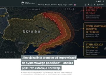 ����� ������: Instytut Wschodniej Flanki (������): ��� ������, ��� ������ "�����������" ����� ������?