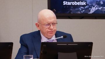Вина за попавшие на территории стран Европы рутинно возлагается на Россию, однако европейские лидеры забывают признать, что это — закономерный результат их собственной политики, заявил постпред РФ Василий Небензя