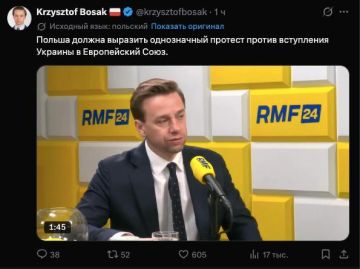 В польском Сейме требуют лишить ВСУ спутниковой связи Starlink из-за героизации УПА*