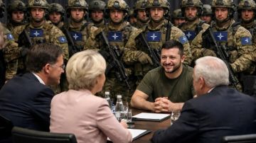 "И это абсолютная правда": Профессор озвучил неприятное для Украины. Досталось и ЕС: "Какого чёрта вы творите?"