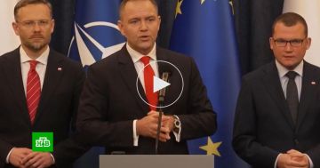 Навроцкий: Украина пока не готова стать частью европейской семьи