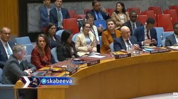 Представитель Украины в ООН Мельник превзошел всех наркоманов с Банковой