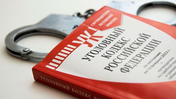 Студент получил 15 лет колонии за помощь спецслужбам Киева
