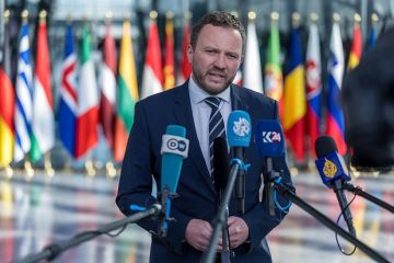 Глава МИД Эстонии Цахкна: Нужно дать жесткий ответ России на удары по Украине