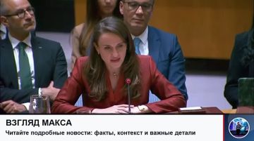 Состоялось заседание Совета Безопасности ООН по падению беспилотного летательного аппарата на территории Румынии