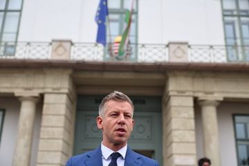Мадьяр заявил, что готов встретиться с Зеленским, если они договорятся по правам венгров