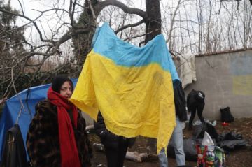 «Профессиональные украинцы»: как создается русофобия в постсоветской Украине