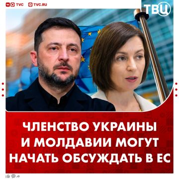���������� � ������ ������� � �������� � �� ����� �������� 15 ����